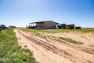 0 Fm 1881 Happy Farm Unit 25-4252, Happy, TX 79042