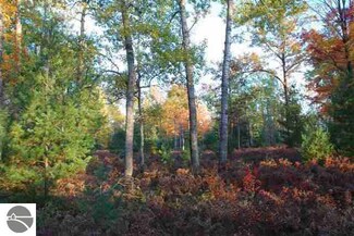 1276 E Davison Rd, East Tawas, MI 48730