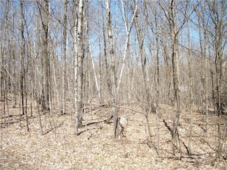 LOTS #99 & #100 Woods (Spruce) Ave, Birchwood, WI 54817