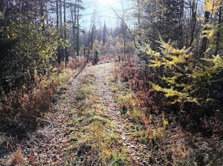 0 Roberts Lake Rd Unit 25758611, Laona, WI 54541