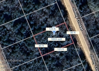 Lot 5 Jiminy Cricket, Hilltop Lakes, TX 77871