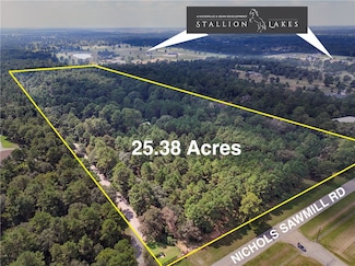 22940 Nichols Sawmill Rd, Hockley, TX 77447