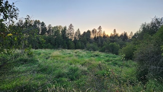 0 W Enoch Rd, Deer Park, WA 99006