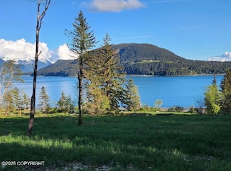Lot 5 Barnett St W, Haines, AK 99827