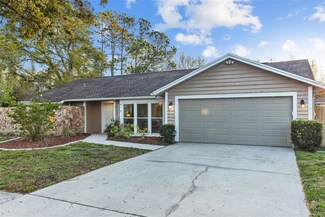 4212 Grainary Ave, Tampa, FL 33624