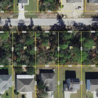 408 Mulberry Ct, Kissimmee, FL 34759