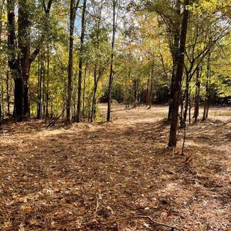 9.56 Acres Stegall Rd, Wesson, MS 39191