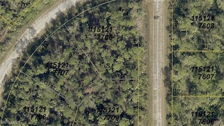 1151217707 & 1151217 Autumn Leaf, North Port, FL 34269