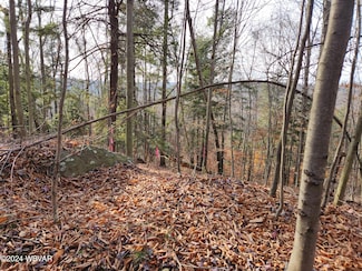 0 Pole Bridge Rd Unit LOT 38 WB-100450, Laporte Township, PA 17758