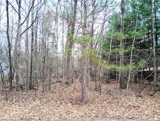Lot #424 Pepperell Ave, Houghton Lake, MI 48629