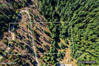 Lot 1A Moose Mountain Rd, Priest River, ID 83856