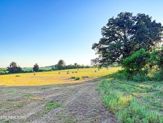 0 Lot 19 Summerset Dr Unit RTC2938753, Talbott, TN 37877