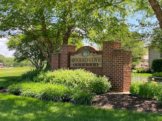 20147 White Tail Ct, Elwood, IL 60421
