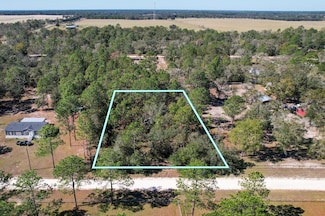 0 SE 132nd Ct, Williston Highlands, FL 32668