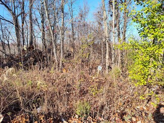 33 Shiloh Ln, Smithville, TN 37166