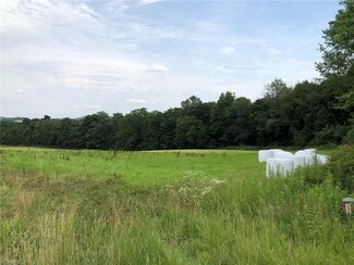 0 Township Road 675 Unit 4115613, Dundee, OH 44624
