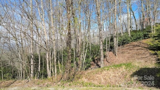 25 Fire Azalea Ln Unit 31, Laurel Park, NC 28739