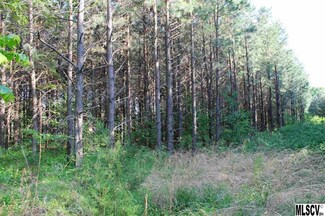 48.8ac Bassett Rd, Olin, NC 28660