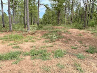R24633 Lot# 16 Fm 844, Huntington, TX 75949