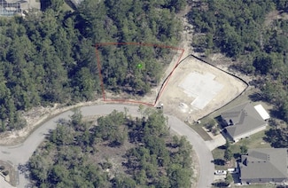 19 Rudbeckia Ct, Sugarmill Woods, FL 34446
