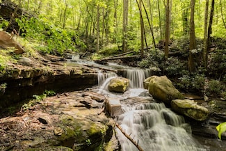 0 Pine Grove Rd, Athens, WV 24712