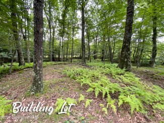 0 Skyline Lot 64 Dr Unit PM-113113, Canadensis, PA 18325