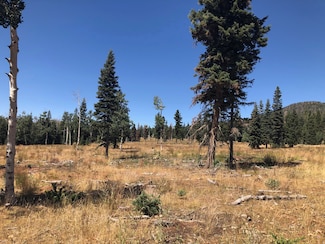 0 N Fork County Rd, Duck Creek Village, UT 84762