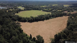 22835 La Hwy 16, Denham Springs, LA 70726