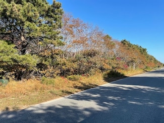 One Daffodil Lane (A Portion Of), Nantucket, MA 02554