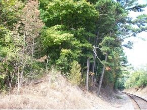 0 Road 621, Dryden, VA 24243