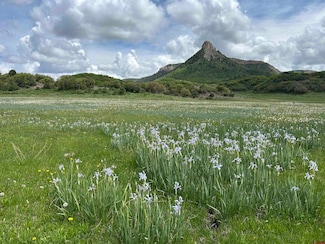 TBD Road 29 8, Cahone, CO 81320