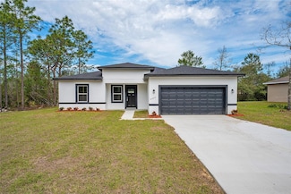 6660 N Waterman Dr, Citrus Springs, FL 34433