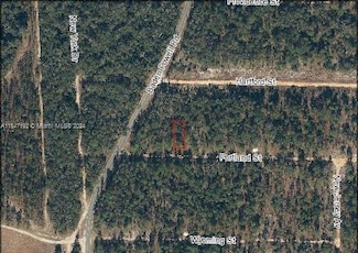336 Portland St, Other City - In the State of Florida, FL 32640