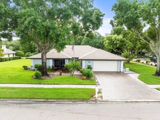 14301 Kellingrew Place, Tampa, FL 33624