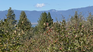 0 David St Unit 3 220193100, Chiloquin, OR 97624