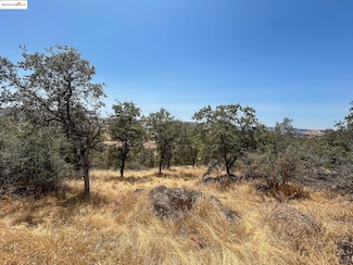 850 Arbolada Dr, Don Pedro, CA 95329