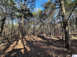 2299 Lone Star Rd, Upton, KY 42784