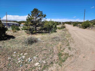 659 Black Hawk Rd, South Fork, CO 81154
