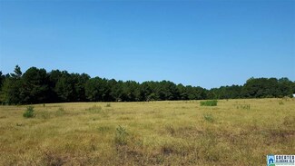 0 County Road 91 Unit 28 770907, Roanoke, AL 36274