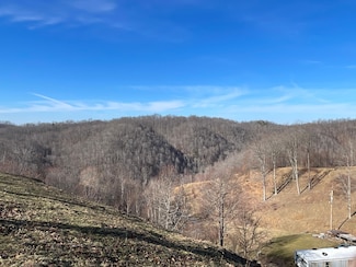370 Jackie Dye Rd, Swords Creek, VA 24649