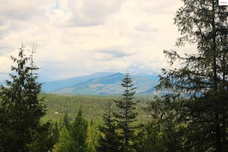 718C Slippery Slope Trail, Priest River, ID 83856