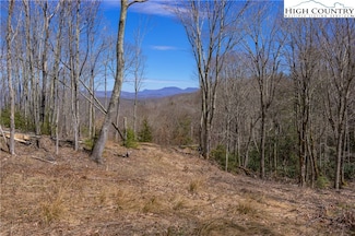79 Eagles Nest Trail, Banner Elk, NC 28604