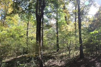 Cutter Creek, Byhalia, MS 38611