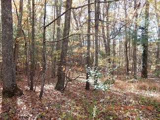 21 Shepherd's Trail, Hot Springs, VA 24445