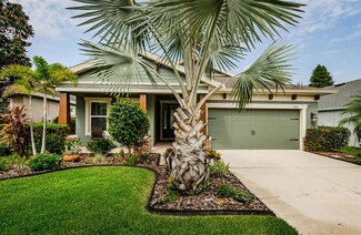 6501 Bradford Hill Ct, Wesley Chapel, FL 33545