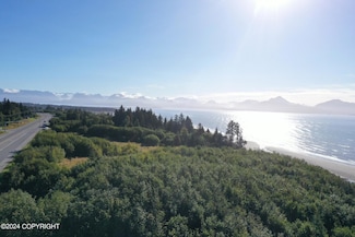 1129 Sterling Hwy, Homer, AK 99603