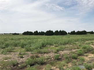 4620 Maggie Ln, Midlothian, TX 76065