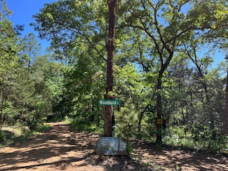 460 NE F St, Moyers, OK 74523
