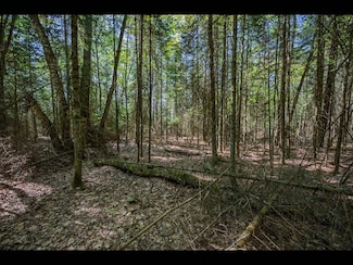 Lot 3 Memory Ln, Eagle River, WI 54521