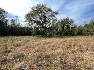 0 Alabama 10, Greenville, AL 36037